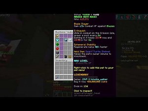 Subzero Wisp pet at level 36 | Hypixel Skyblock