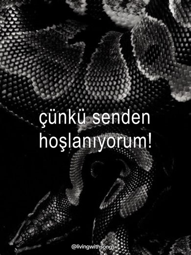 Taylor Swift's Reputation: A Deep Dive into Delicate