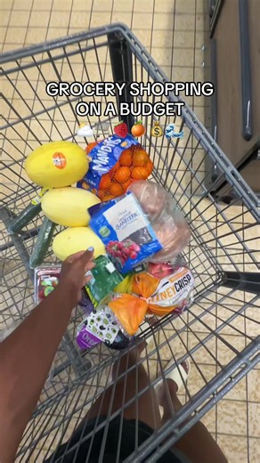 Grocery Shopping on an $80 Budget for Single Moms