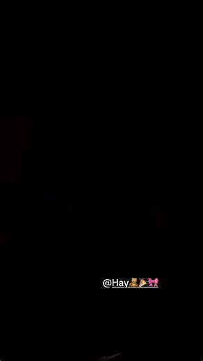 Jasmine67 (@lightbulbs42)’s videos with Never Forgive Me, Never Forget Me - Avith Ortega & Akira Yamaoka