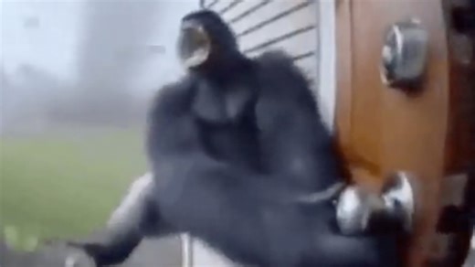 Monkey Flying Into Tornado AI GIF | Know Your Meme