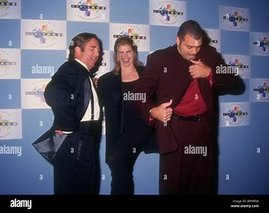 HOLLYWOOD, CA - JANUARY 16: Actor Beau Bridges, actress Mariel Hemingway and comedian Sinbad attend the 15th Annual National CableACE Awards on January 16, 1994 at the Pantages Theatre in Hollywood, California. Photo by Barry King/Alamy Stock Photo Stock Photo - Alamy