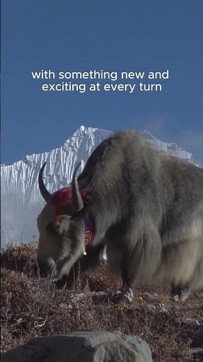 Himalayas - Biodiversity | Documentary | Stunning Views