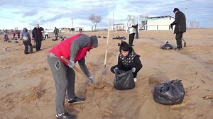 Volunteers in Sevastopol help clean beaches after oil spill