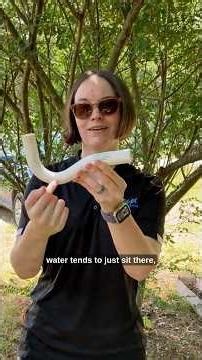 Quick AC Maintenance Tip: Cleaning the Drain Line