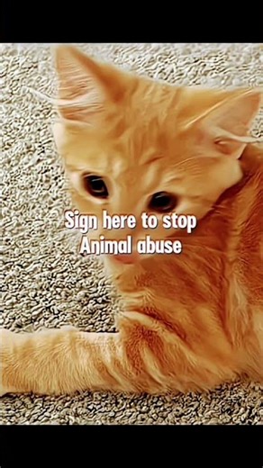 ima change my name soon