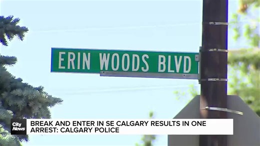 Break and enter in SE Calgary results in one arrest: Calgary police