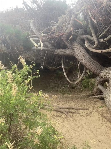 Exploring Chile's Stunning Coastal Landscapes