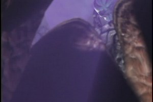 Aliens Versus Predator: Extinction (Video Game 2003)