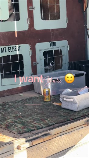 Exploring the Charm of Yuri Culture