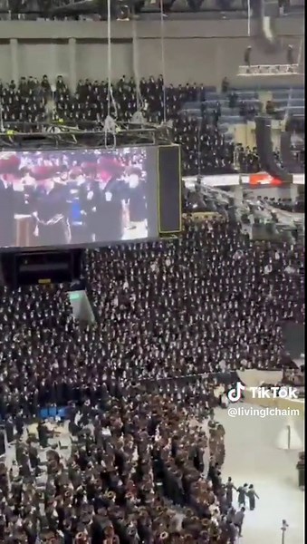 The grand belzer wedding #belzer #hasidic #chasidic | hasidic jewish weddings