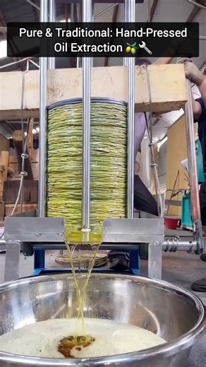Luxury ✨ AI 🤖 Cars 🚗 on Instagram: "In this scene, people are demonstrating a traditional oil extraction process using a hydraulic or mechanical press. They carefully stack oil-rich plant materials, such as olives or seeds, and compress them to extract natural oils, which flow into a collection container below. This hands-on technique, often used in small-scale or artisanal production, has been passed down for generations. Though labor-intensive, it’s valued for producing pure, high-quality oi