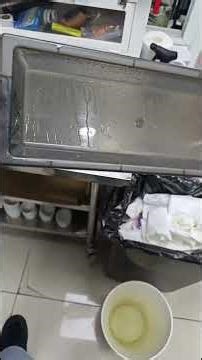 POV Cleaning Snake Tray – Watch Full Livestream for Reptile Care & Setup Tips!