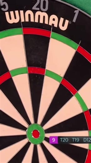 Mastering Darts Techniques with Prime Gary