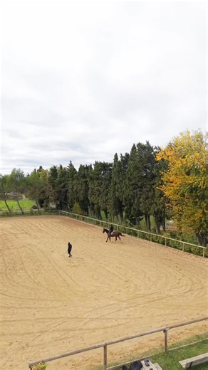 🐴 Envie de progresser à cheval dans une ambiance conviviale et sereine ? 🌿 Notre petite écurie de propriétaires vous accueille pour des cours particuliers ou collectifs à partir de 16 ans. Que vous montiez votre propre cheval 🐎 ou l’un de nos chevaux d’instruction équilibrés et polyvalents, chaque séance est adaptée à votre niveau et à vos objectifs. ✨ Ce que nous vous proposons : Cours collectifs (2 à 4 cavaliers) ou particuliers Une cavalerie calme, sécurisante et bien dans sa tête Une moni