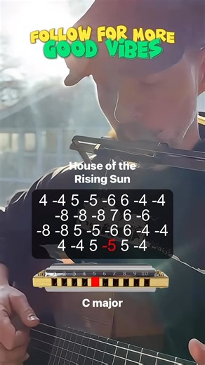 House of the Rising Sun Harmonica Tutorial #harmonica #blues | Kasey's Music Method