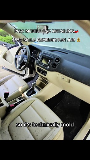 Mobile Car Detailing: Mold Remediation Transformation