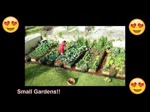 20 Small Garden Ideas on a Budget for Vegetables