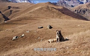 Capture One 23 Pro win/mac 中文专业版