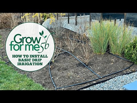 Installing Drip Irrigation in our Garden || Why Fall is the PERFECT Time