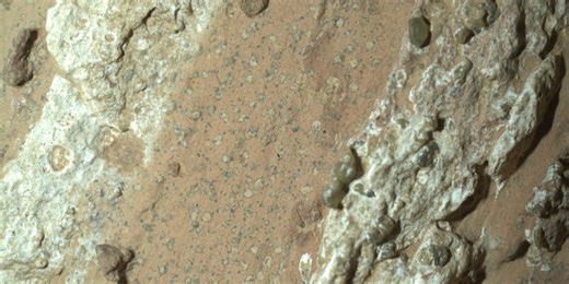 Mars rock discovery shows signs of life but samples need to be brought to Earth to confirm, NASA says