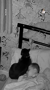 56K views · 621 reactions | Check out these two cuddle buddies...  | Dad Jokes | Facebook