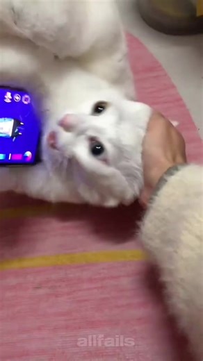 #fyp #tiktokfails #fails #laugh #funnyvideos