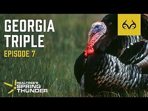 Spring Thunder Episode 7 | Georgia Turkey Hunting + Incredible Spurs