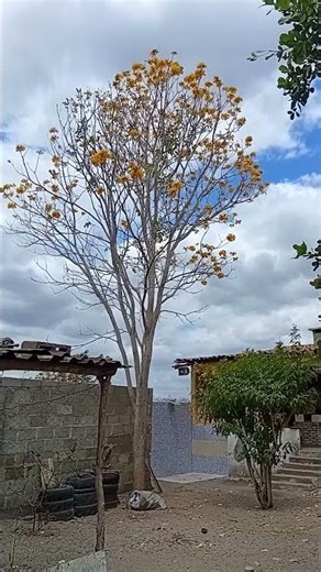 22 de novembro de 2025