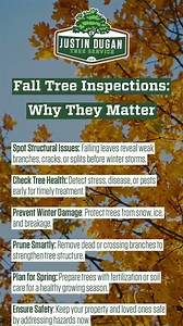 13 shares | A good tree inspection can uncover hidden issues like...