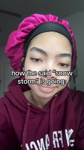 is this what we were preparing for 🫩 where are the exploding trees? WHERES ELSA? #fyp #weather #winterstorm #texasweather #texas