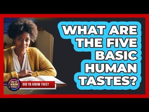 What Are The Five Basic Human Tastes?