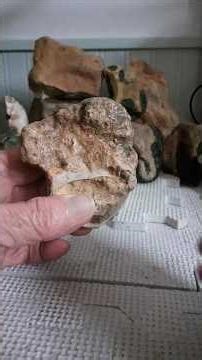 Rock art effigy totem Part 6 Fossilized Bones