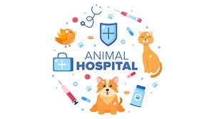 Buy Animal Hospital - Switch