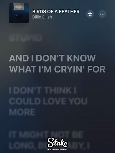 Birds Of A Feather Lyrics Video