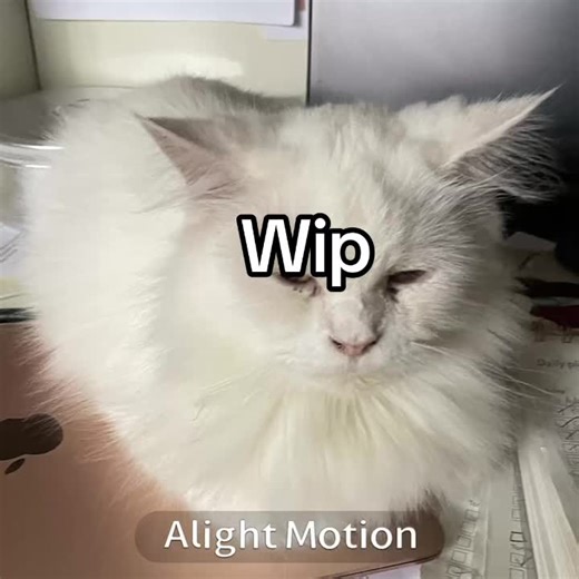 Trust the process gro 👅👅👅