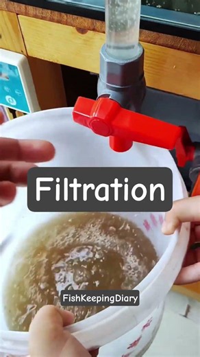 FishTank Filtration #aquarium