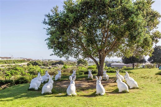 'We don't care for them': Calif.'s richest city goes after famous bunnies