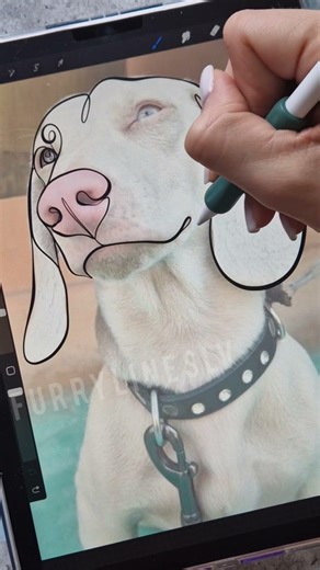 Creating a Stunning Digital Dog Portrait