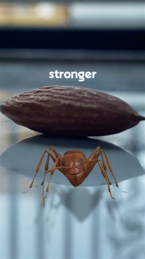 Life Lesson From Mr.Ant 🐜 #shorts #youtubeshorts