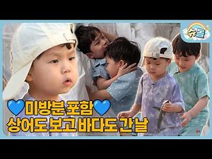 ✨The Woo Brothers IN Taiwan✨ What is the identity of the fish that Jung-woo, who is in his elemen...