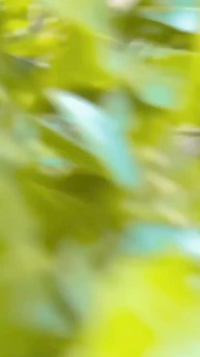 141K views · 4.9K reactions | Follow me for more videos | Pooja Devi | Facebook