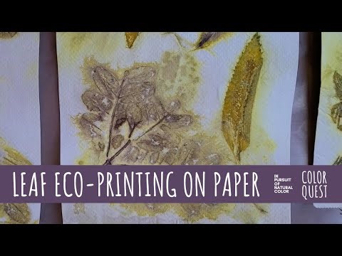 LEAF ECO-PRINTING ON PAPER | ORGANIC COLOR | IRON WATER | EUCALYPTUS CHILCA LEAVES | URUBAMBA PERU