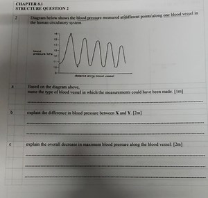 CHAPTER 8.1STRUCTURE QUESTION 22 Diagram below shows the bloo... | Filo