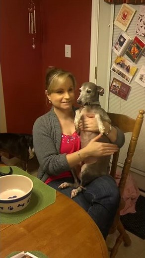 Burping Your Dog - Tips for Managing Megaesophagus