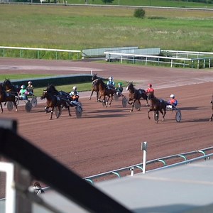 26 reactions | {LIVE} Rendez-vous demain matin pour suivre en direct sur notre site www.province-courses.fr les QUALIFS de Caen - avec Osarus Trot | Province Courses/24H au trot | Facebook
