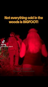 This is a clip from a recent night hike trip looking for evidence of Bigfoot in a highly active area near the Red River Gorge, KY. We came across a tree structure that was evidently man made for one reason or another! #bigfoot #creepy #unknown #kentuckychuckie #debunked | Kentucky Bigfoot Research Organization