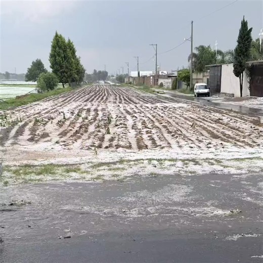 Frente A la Noticia ​🚨 REPORTE DE DAÑOS POR FUERTE GRANIZADA ⛈️🧑‍🌾 ​Esta tarde de lunes, una severa granizada azotó con fuerza a los municipios de Huejotzingo y San Salvador El Verde, dejando afectaciones considerables en el sector agrícola. ​Aquí los puntos clave de la situación: ​📍 Santa Ana Xalmimilco (Huejotzingo): Se reportaron fuertes estragos en la comunidad debido a la acumulación de granizo y las intensas condiciones climáticas. ​📍 San Salvador El Verde: Productores locales informa