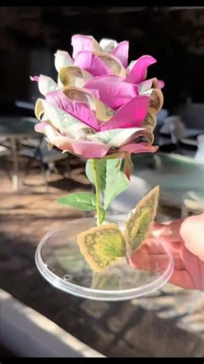 Handmade Money Rose | Money Gift #moneyrose #money #moneygift #art #moneyorigami #handmade