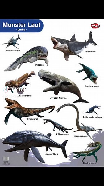 Exploring Various Types of Sea Monsters | Part 2